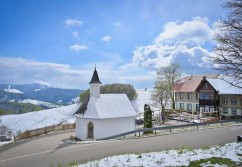 Bitburg PLZ nur Großraumangabe, diskretionshalber !, Ladenlokal, Gastronomie mieten oder kaufen