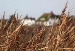 Föhr , Ladenlokal, Gastronomie mieten oder kaufen