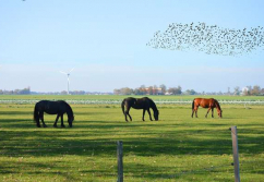 Bad Salzuflen Betrieb liegt ca., Ladenlokal, Gastronomie mieten oder kaufen