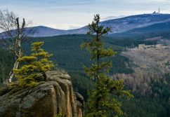 Braunlage , Ladenlokal, Gastronomie mieten oder kaufen