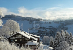 Todtnau , Ladenlokal, Gastronomie mieten oder kaufen