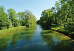 München , Ladenlokal, Gastronomie mieten oder kaufen