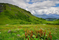 Triberg im Schwarzwald PLZ nur Großraumangabe, diskretionshalber !, Ladenlokal, Gastronomie mieten oder kaufen