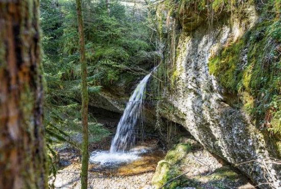 Scheidegg , Ladenlokal, Gastronomie mieten oder kaufen