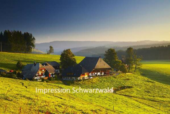 Alpirsbach , Ladenlokal, Gastronomie mieten oder kaufen