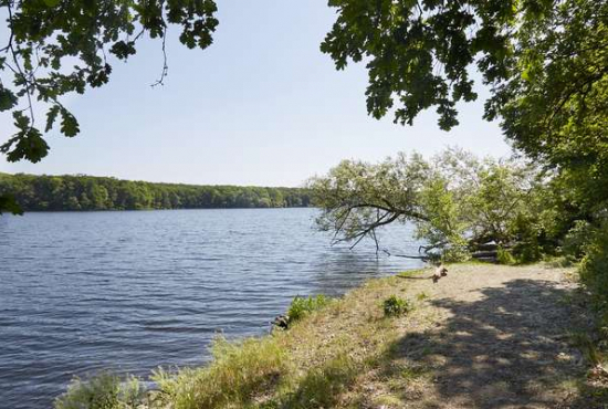 Potsdam Konrad-Zuse-Ring, Ladenlokal, Gastronomie mieten oder kaufen