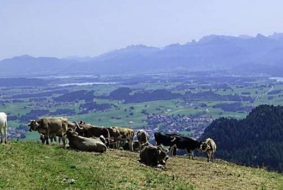 Füssen , Ladenlokal, Gastronomie mieten oder kaufen