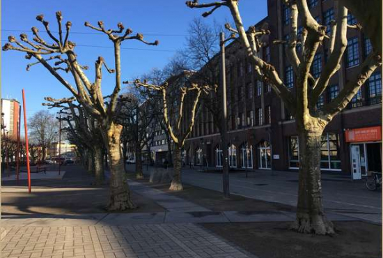 Oberhausen / Altstadt-Süd , Ladenlokal, Gastronomie mieten oder kaufen