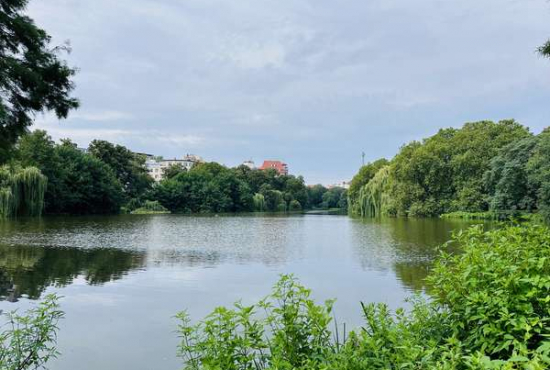 Berlin , Ladenlokal, Gastronomie mieten oder kaufen