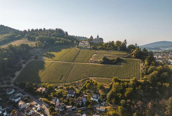 Gernsbach , Ladenlokal, Gastronomie mieten oder kaufen