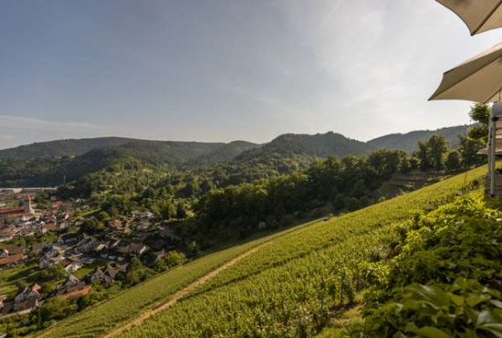 Gernsbach , Ladenlokal, Gastronomie mieten oder kaufen