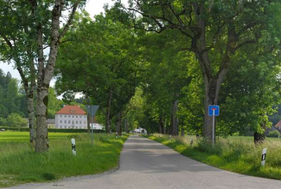 Landsberg am Lech Waalerstraße, Ladenlokal, Gastronomie mieten oder kaufen