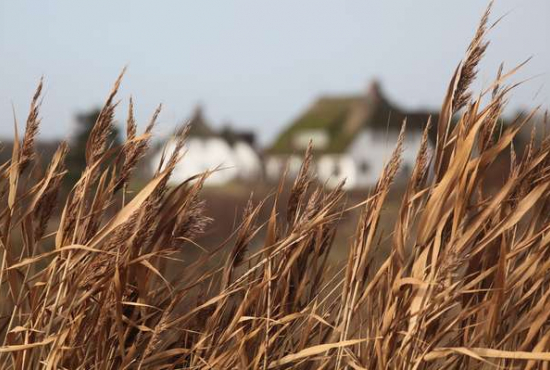 Föhr , Ladenlokal, Gastronomie mieten oder kaufen