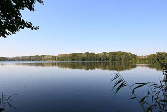 Loxstedt , Ladenlokal, Gastronomie mieten oder kaufen