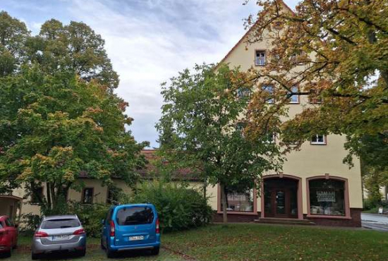 Zwickau Steinpleiser Str., Ladenlokal, Gastronomie mieten oder kaufen