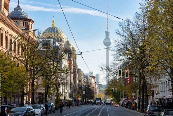 Berlin Große Hamburger Straße, Ladenlokal, Gastronomie mieten oder kaufen