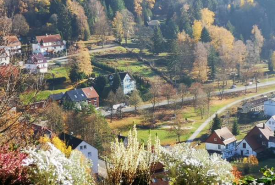 Bad Grund Grüne Tanne, Ladenlokal, Gastronomie mieten oder kaufen