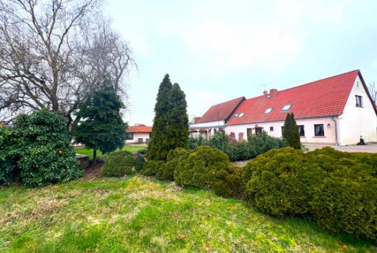 Nedlitz , Ladenlokal, Gastronomie mieten oder kaufen