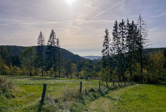 Medebach Küstelberger Straße, Ladenlokal, Gastronomie mieten oder kaufen