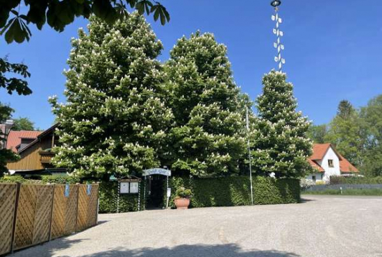 Bergkirchen / Eschenried , Ladenlokal, Gastronomie mieten oder kaufen