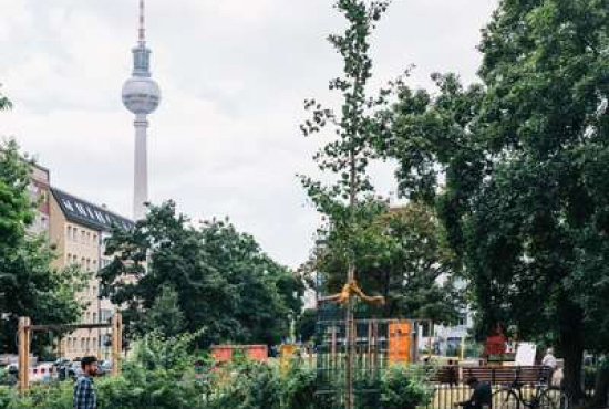 Berlin Rückerstraße, Ladenlokal, Gastronomie mieten oder kaufen