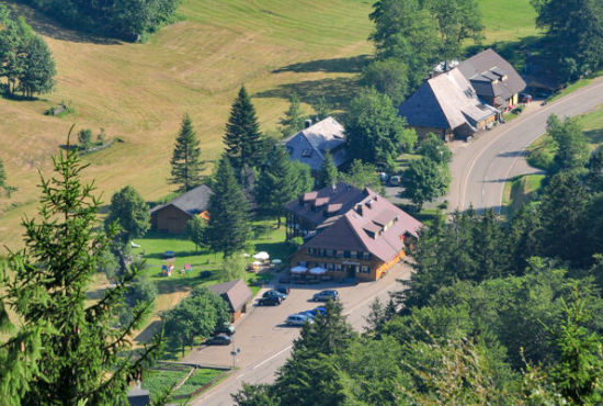 Todtnau / Fahl , Ladenlokal, Gastronomie mieten oder kaufen