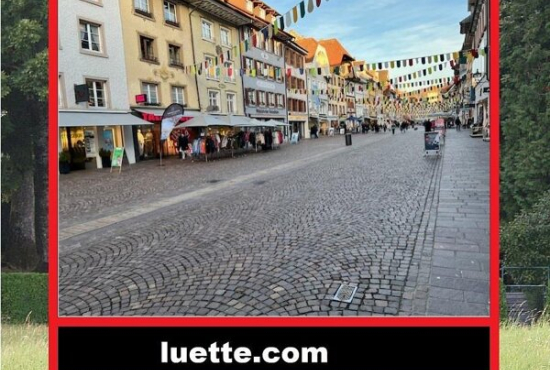 Waldshut-Tiengen , Ladenlokal, Gastronomie mieten oder kaufen