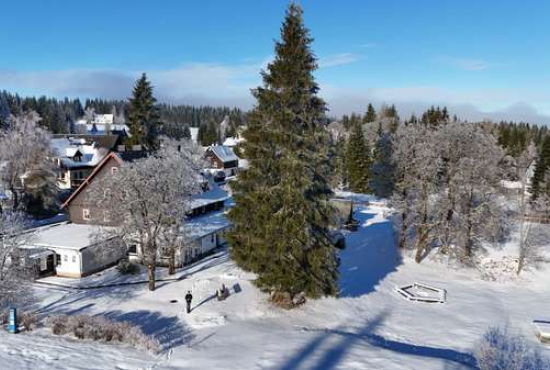 Eibenstock , Ladenlokal, Gastronomie mieten oder kaufen