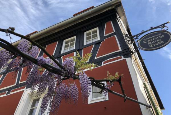 Neustadt an der Weinstraße Mandelring, Ladenlokal, Gastronomie mieten oder kaufen