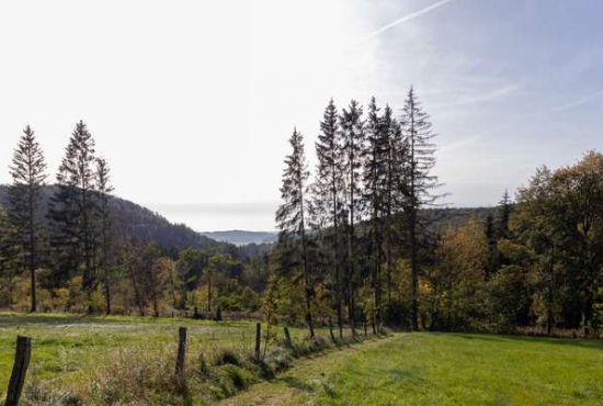 Medebach , Ladenlokal, Gastronomie mieten oder kaufen