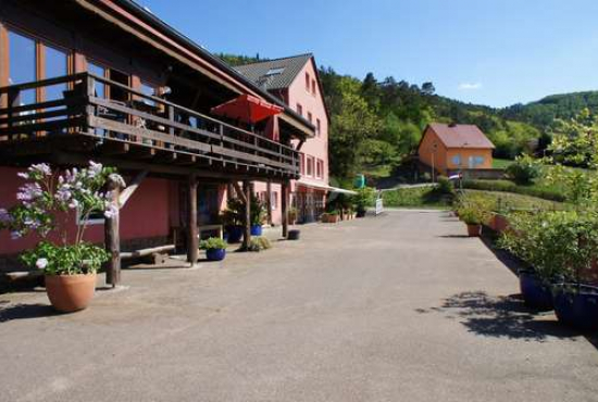 Schönau / Gebüg , Ladenlokal, Gastronomie mieten oder kaufen