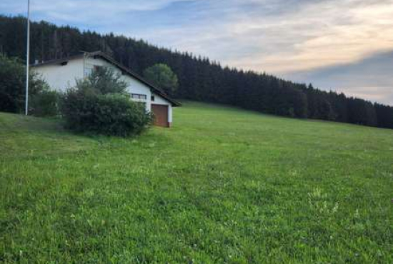 St. Johann , Ladenlokal, Gastronomie mieten oder kaufen