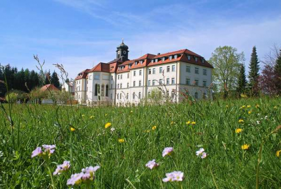 Perasdorf Kostenz, Ladenlokal, Gastronomie mieten oder kaufen