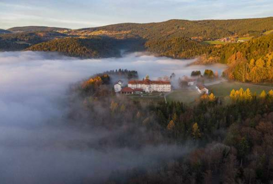 Perasdorf Kostenz, Ladenlokal, Gastronomie mieten oder kaufen