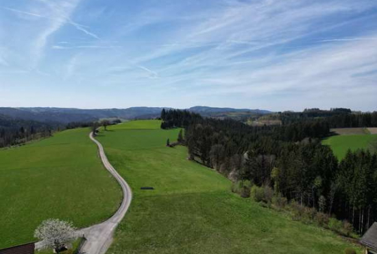 Wallenfels , Ladenlokal, Gastronomie mieten oder kaufen