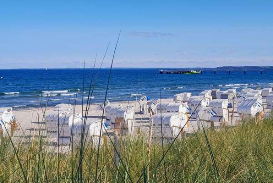 Scharbeutz , Ladenlokal, Gastronomie mieten oder kaufen