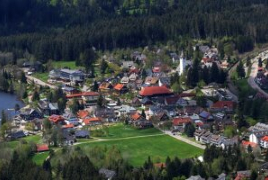 Titisee , Ladenlokal, Gastronomie mieten oder kaufen