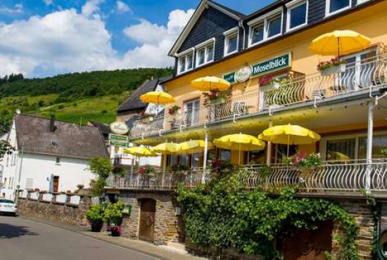 Burg (Mosel) , Ladenlokal, Gastronomie mieten oder kaufen