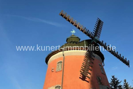 Halle An der Eselsmühle, Ladenlokal, Gastronomie mieten oder kaufen