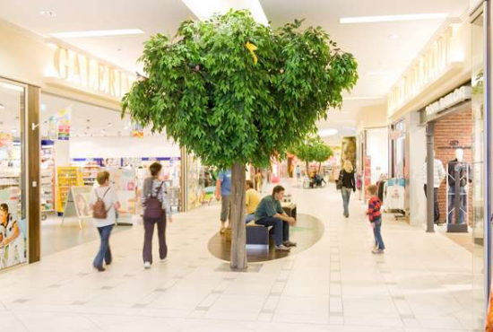 Rudolstadt Marktstraße, Ladenlokal, Gastronomie mieten oder kaufen