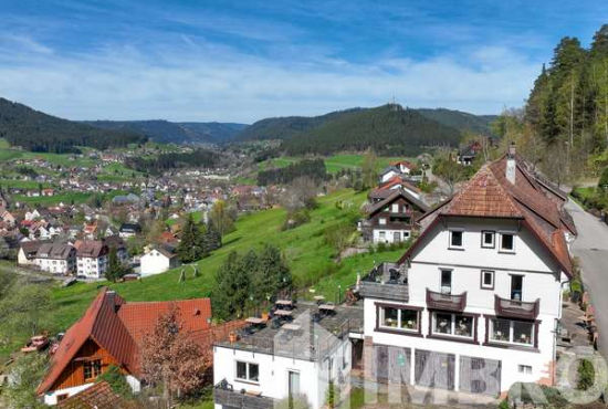 Baiersbronn , Ladenlokal, Gastronomie mieten oder kaufen