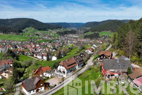 Baiersbronn , Ladenlokal, Gastronomie mieten oder kaufen