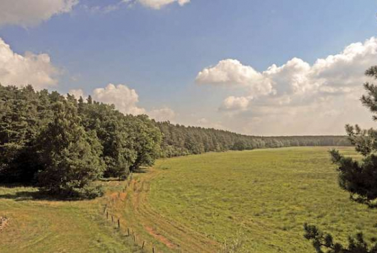 Waren , Ladenlokal, Gastronomie mieten oder kaufen