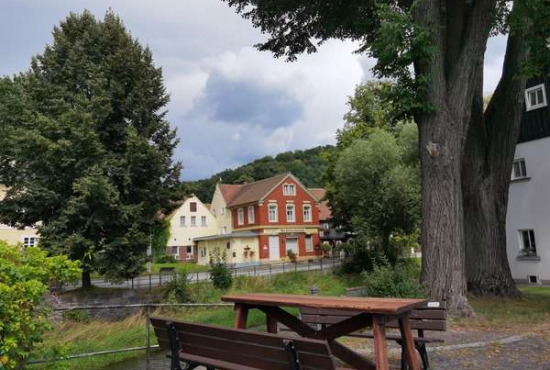 Großschönau Schenaustraße, Ladenlokal, Gastronomie mieten oder kaufen