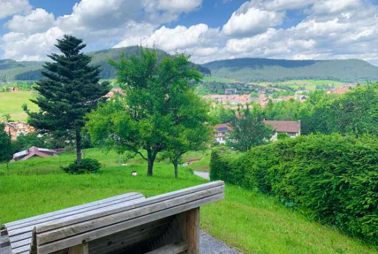 Baiersbronn , Ladenlokal, Gastronomie mieten oder kaufen