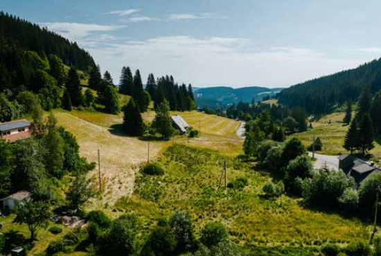 Feldberg-Neuglashütten , Ladenlokal, Gastronomie mieten oder kaufen